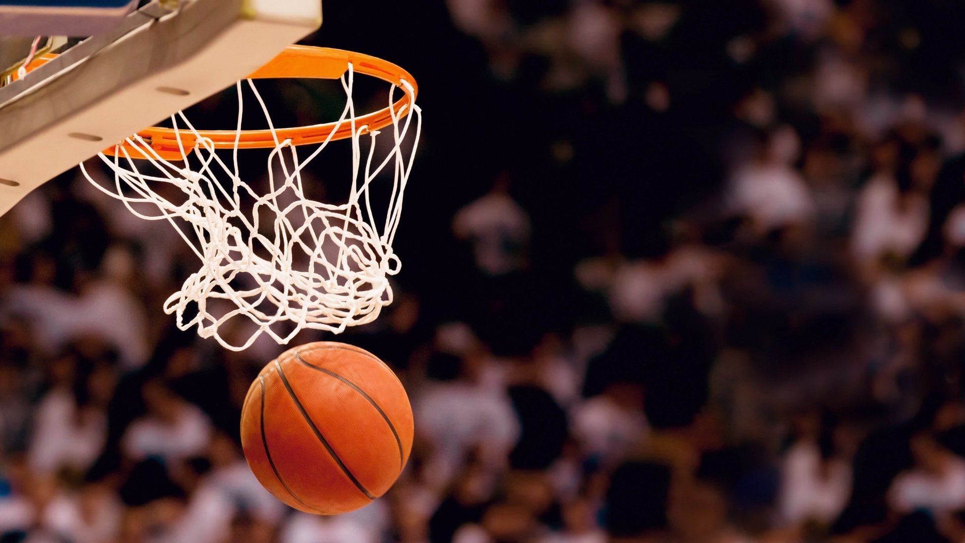 Faker我将化身NBA大引热议(faker原本想叫啥)|多宝棋牌官网入口